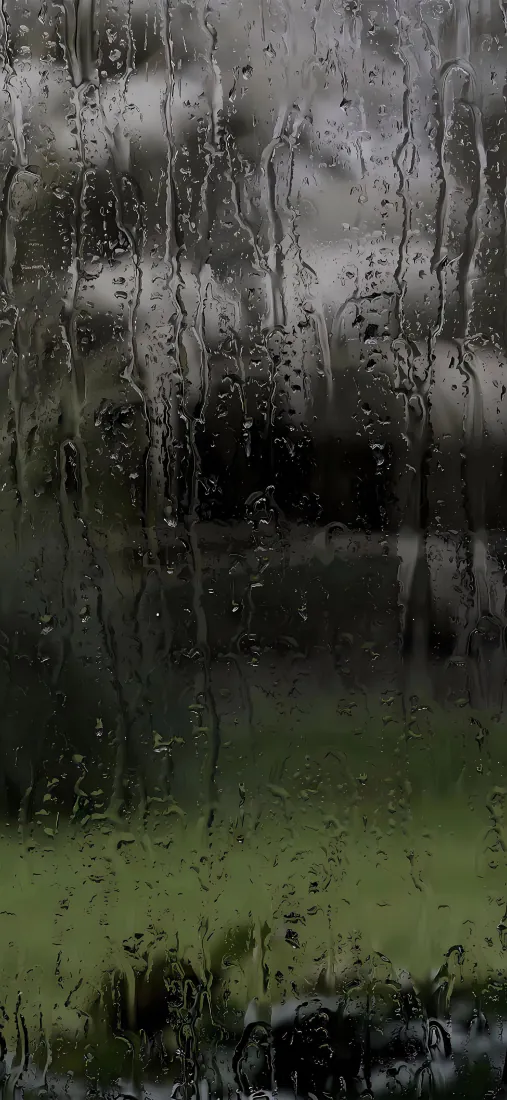 HH手机壁纸｜雨天树林草地背景图片 - 朦胧自然风景「哲风壁纸」