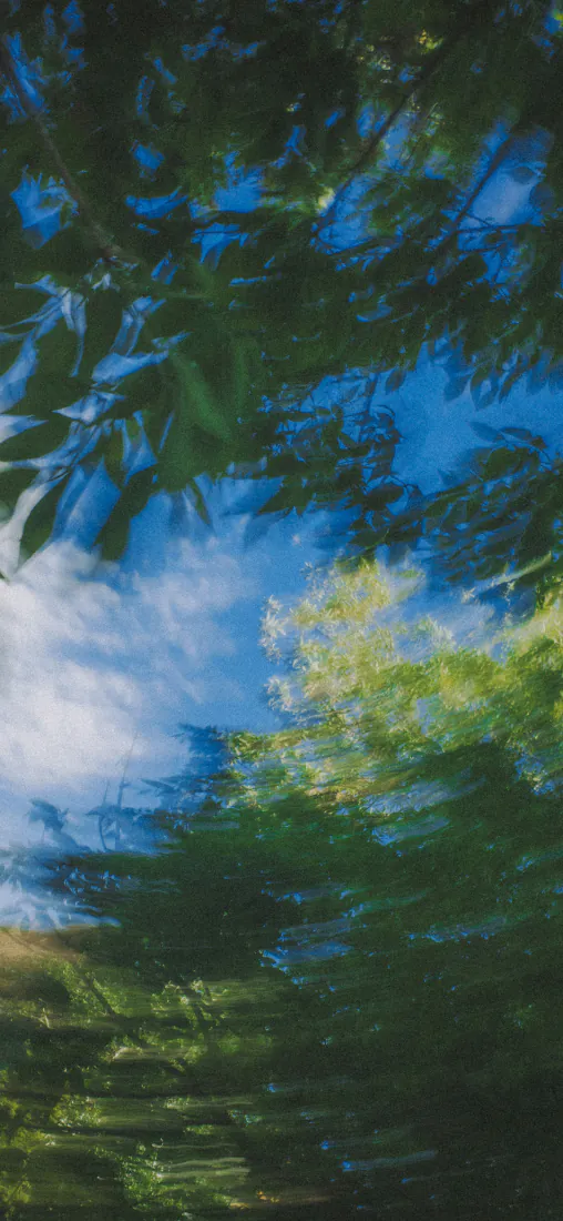 林间自然清新风景油画手机壁纸|蓝天白云背景图片 - 葱郁繁茂绿植「哲风壁纸」 林间自然清新风景油画手机壁纸|蓝天白云背景图片 - 葱郁繁茂绿植「哲风壁纸」