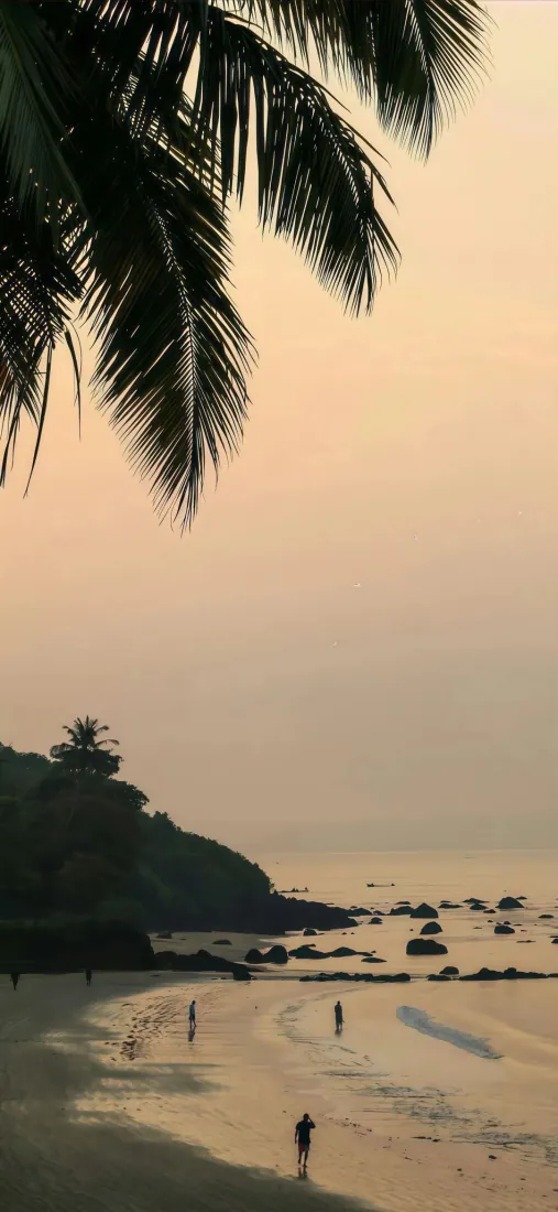 黄昏热带海滨手机壁纸|暖调椰影沙滩背景图片 - 近海礁石岸线「哲风壁纸」 黄昏热带海滨手机壁纸|暖调椰影沙滩背景图片 - 近海礁石岸线「哲风壁纸」