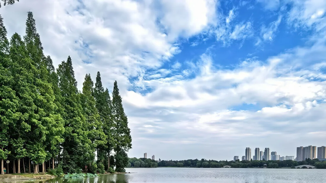 2k湖景壁纸｜湖畔树林城市天际线背景图片 - 清新风光「哲风壁纸」