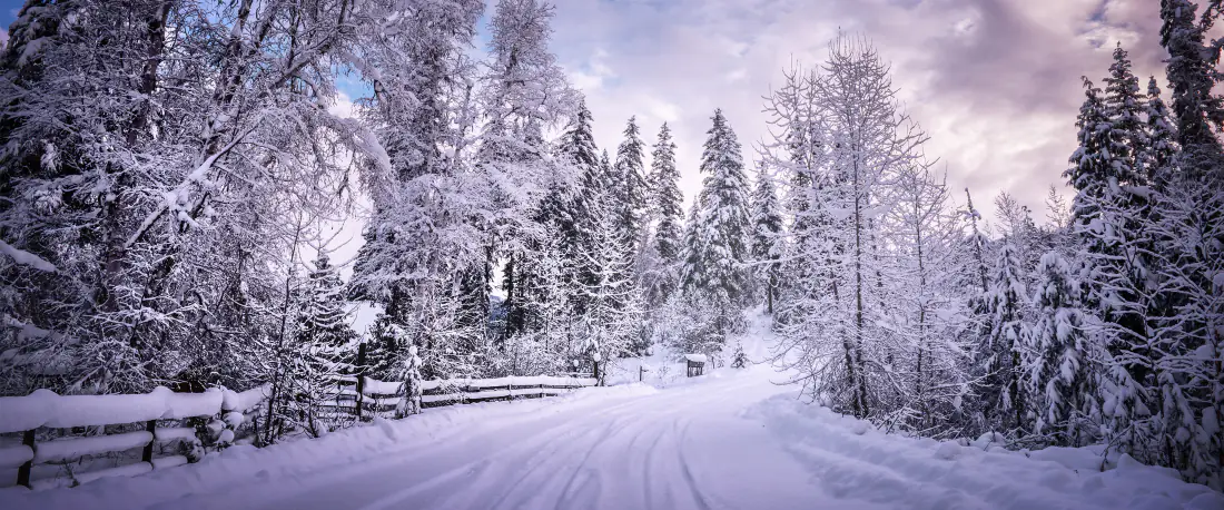 4k冬日雪景壁纸｜积雪林间道路背景图片 - 静谧冬日风光「哲风壁纸」