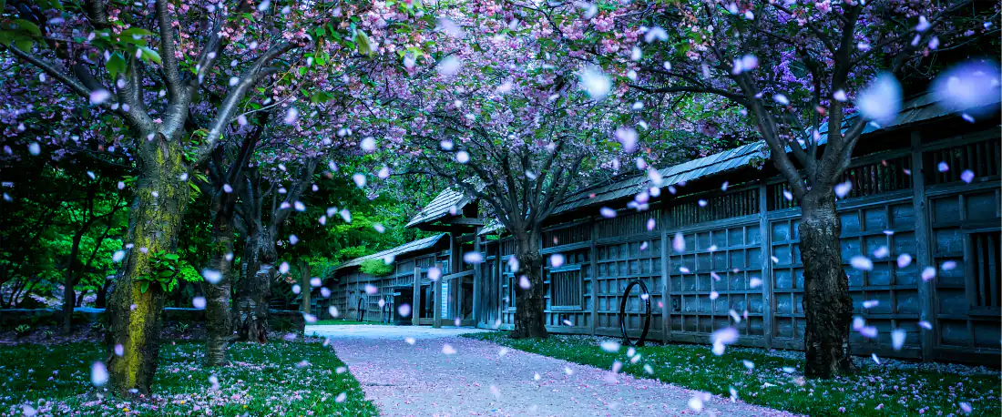 4k宽屏壁纸|樱花步道日式庭院背景图片 - 梦幻唯美「哲风壁纸」 4k宽屏壁纸|樱花步道日式庭院背景图片 - 梦幻唯美「哲风壁纸」