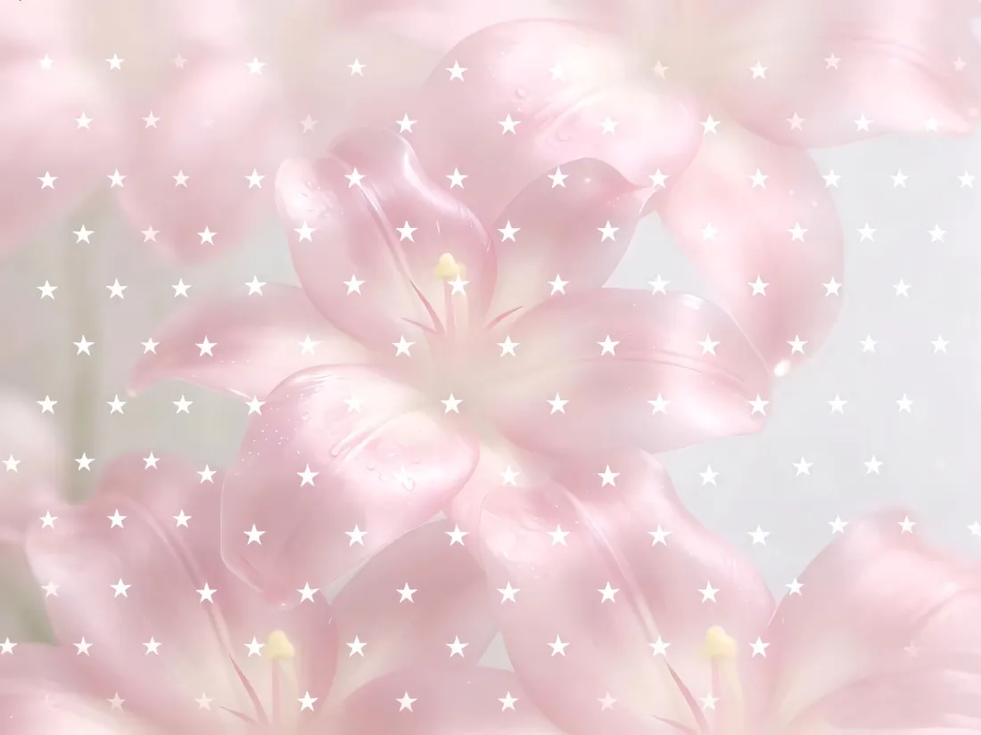 3k粉色百合壁纸|柔焦星光花朵背景图片 - 梦幻浪漫「哲风壁纸」 3k粉色百合壁纸|柔焦星光花朵背景图片 - 梦幻浪漫「哲风壁纸」