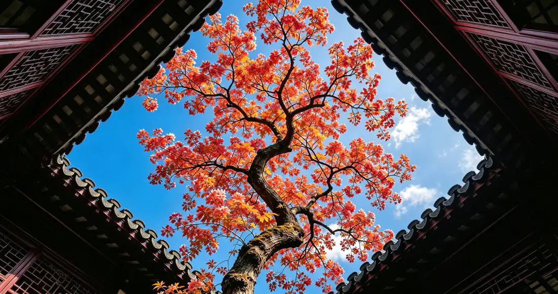 3k古建秋枫壁纸｜中式庭院红枫蓝天背景图片 - 秋日雅致「哲风壁纸」