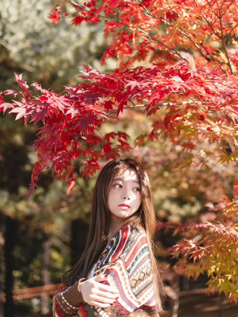 秋日少女手机壁纸｜红枫树下披肩少女背景图片 - 秋日氛围感「哲风壁纸」