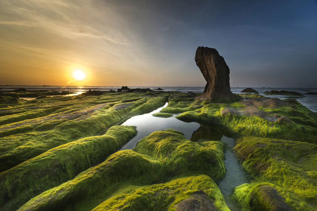 6k海浪海岸壁纸｜青苔礁石日出海岸背景图片 - 壮阔自然「哲风壁纸」