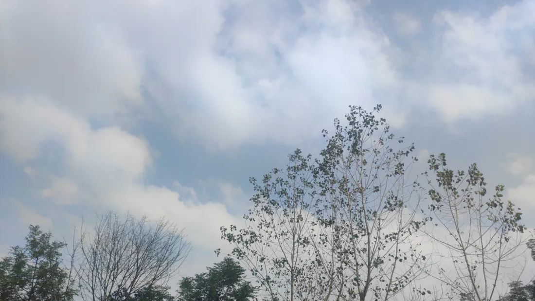 9k天空壁纸|淡蓝多云天空树梢背景图片 - 清新自然「哲风壁纸」 9k天空壁纸|淡蓝多云天空树梢背景图片 - 清新自然「哲风壁纸」