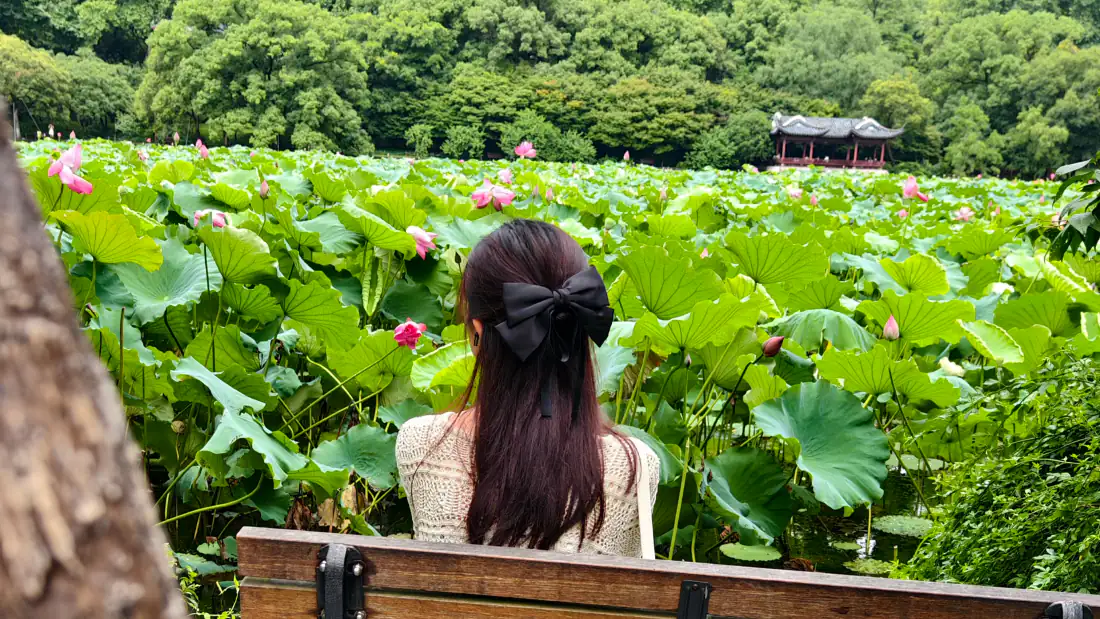 3k美女壁纸|荷塘赏景背影背景图片 - 清新夏日「哲风壁纸」 长发女子背对镜头坐在长椅上,望向满池荷花与远处中式凉亭。