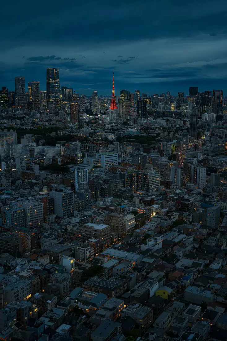 高空俯瞰暮色下的东京城市建筑群，远处亮着红光的东京塔矗立在天际线中。