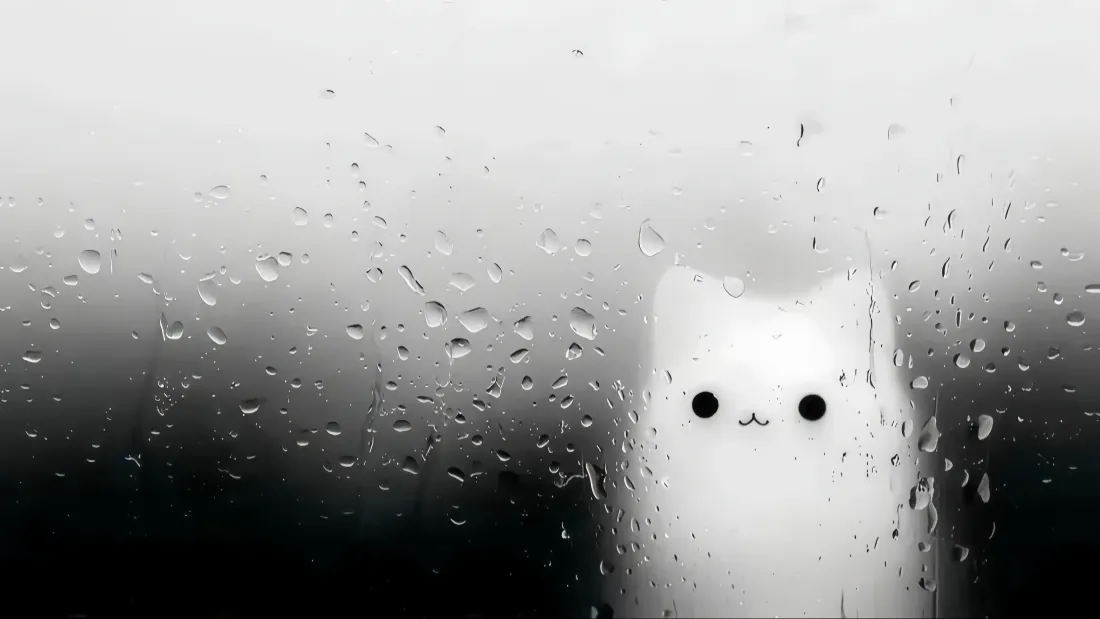 黑白画面中，一只白猫隔着布满雨滴的玻璃静静望向外侧。