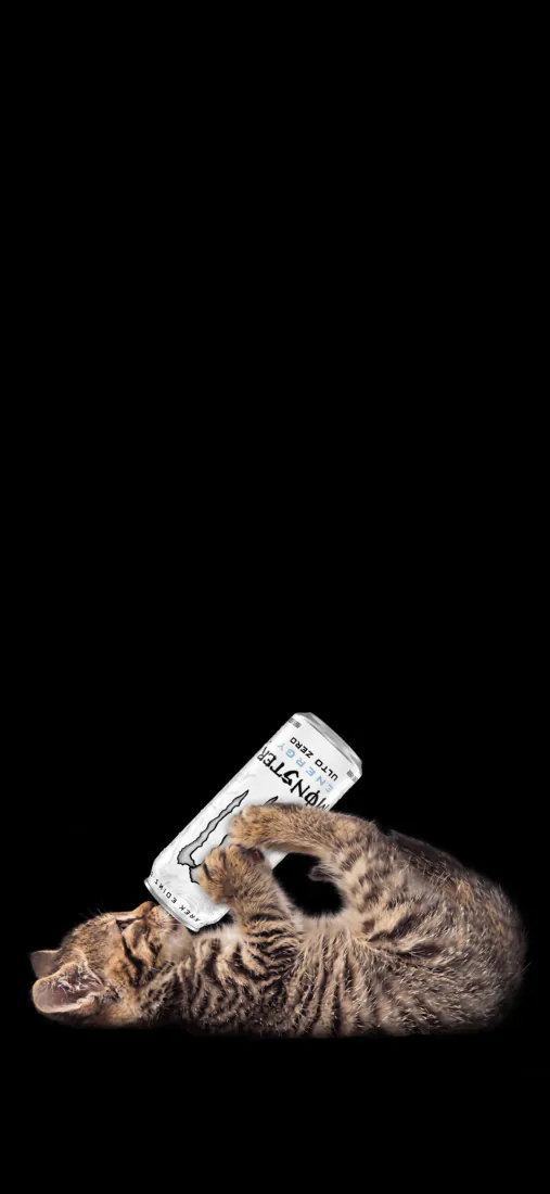 纯黑背景下虎斑猫躺卧，前爪抱着印有文字的白色药盒。