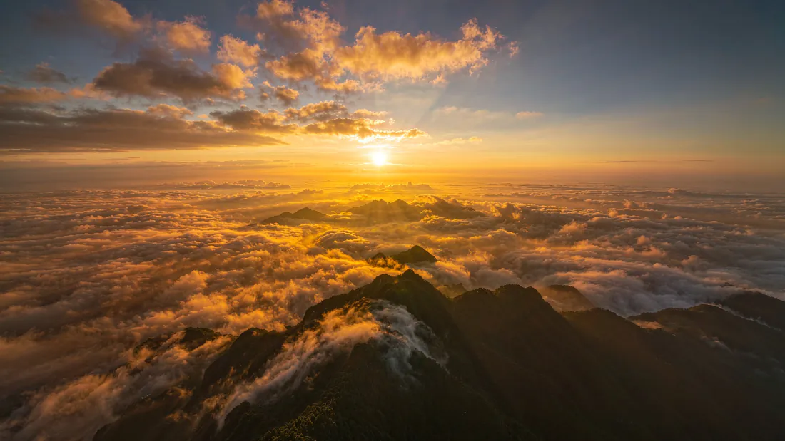 高空俯瞰日出时分，金色阳光铺洒在翻涌的云海之上，深色山峰剪影从云海中露出。