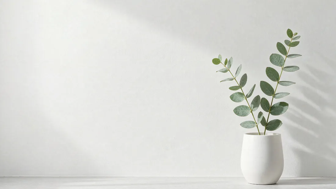 2k家居绿植壁纸|白墙桌面尤加利盆栽背景图片 - 简约清新「哲风壁纸」 白色墙面前的桌面上,白色花瓶插着尤加利枝叶,墙面投下柔和光影。
