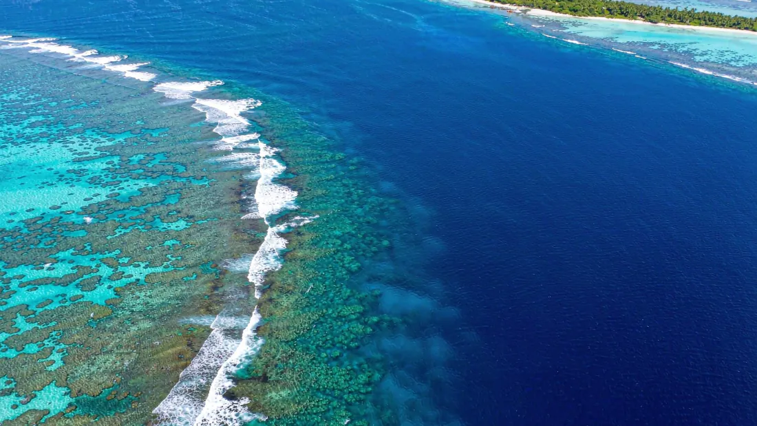 高空航拍热带海岸，澄澈蓝绿海水下珊瑚礁清晰可见，浪涛拍岸，远处有白沙滩与绿植。